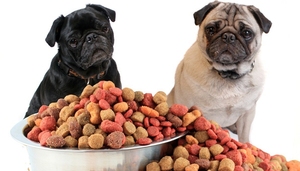 Buena máquina para hacer alimentos para mascotas, máquina de producción de alimentos para perros, línea de procesamiento de alimentos de buena nutrición - Product Image 3