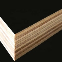 Contreplaqué stratifié le plus vendu 5mm 9mm 12mm 15mm 18mm 1220*2440 Contreplaqué de construction en bouleau, peuplier, tilleul