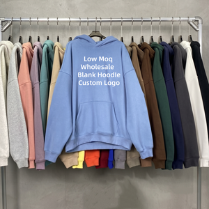Low Price Wholesale Blank <b>Hoodies</b> 6697 Custom Logo Printing Heavyweight Oversized Men Sweatshirt Unisex <b>Plain</b> Solid Color Hoodie - Product Image 1