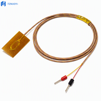 Fil thermocouple de type K auto-adhésif haute température GG-K-30-SLE avec isolation en verre, longueur de sonde personnalisable (3*13.5mm) OEM/ODM pour