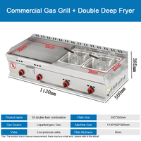 Grill Professionnel à Gaz + Friteuse Double Tout-en-Un en Acier Inoxydable
