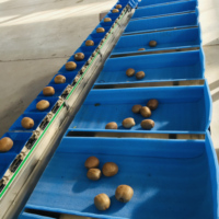 Automatische multifunctionele fruit- en groentesorteermachine met fabrieksaanpassing en hoogprecisie sorteersysteem