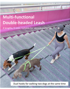 Correa de perro de doble cabeza de PVC impermeable verde, duradera, suave, de lujo, estilo moderno, accesorio para mascotas, venta al por mayor, OEM, ODM - Product Image 4