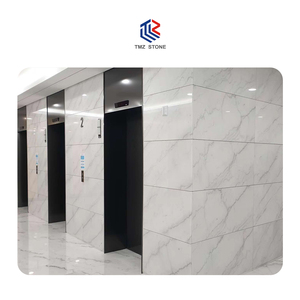 Piedra TMZ de mármol blanco Guangxi moderna de alta calidad ODM/OEM para baño de hotel y sala de estar Interior pulido - Product Image 5