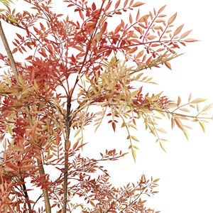 Grande plante artificielle de <span class=keywords><strong>bambou</strong></span> des mers du Sud pour la décoration de la maison, paysage <span class=keywords><strong>en</strong></span> <span class=keywords><strong>pot</strong></span> fait à la main et écologique avec décoration artistique - Product Image 1