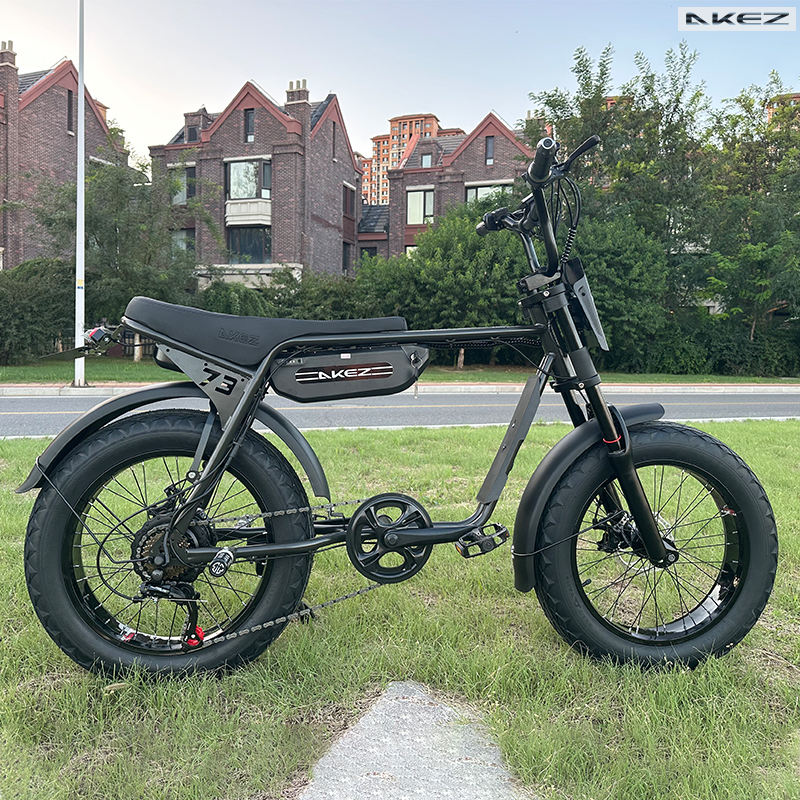 Akez ZX Velo Electrique E-Bike 500W-1500W, 20