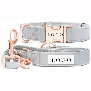 Metalen Gesp Verstelbare Lederen Hondenhalsriem Set Luxe Custom Huisdier Kragen & Riem Voor Kleine Middelgrote Lopen - Product Image 2