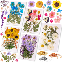 TIMESRUI Ensemble de fleurs séchées naturelles en gros, fleurs colorées faites à la main pour bijoux en résine DIY, cartes, scrapbooking, Fête des Pères
