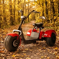 Sepeda Listrik Roda Tiga 2000W Rangka Aluminium 3 Kecepatan Baterai Terintegrasi Ban Lebar Citycoco Baterai Lithium 60V