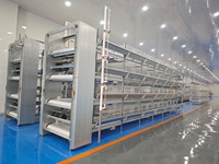 Poulailler de type H pour élevage de poulets de chair et pondeuses, mangeoires galvanisées, cage à poulets, poulailler pour poulets de chair, poules pondeuses