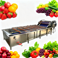 Industriële luchtbel fruit- en groentewasmachine automatische wasmachine voor blauwe bessen voedingsmiddelenfabriek
