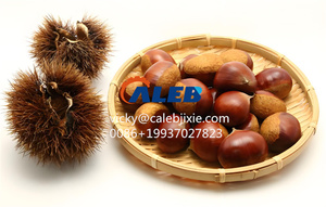 Machine à décortiquer les châtaignes à bas <span class=keywords><strong>prix</strong></span>, machine à éplucher les châtaignes, machine à décortiquer et à écaler les châtaignes - Product Image 6