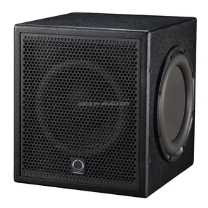 Passive TR10B Portable 10 inch rms 150w dsp audio cnc deep bass subwoofer for home theatre disco bar mini loudspeaker subwoofers