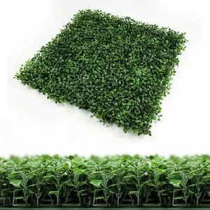 Sunwing 50*50cm artificial plant grass living green boxwood hedges backdrop wall