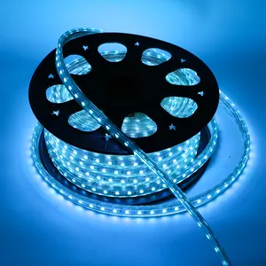 Grosir Smart Neon Flex 220V luar ruangan fleksibel 5050 SMD 100m RGB Waterproof Led Strip/Led Strip Lights/lampu Led Strip