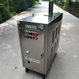 Máquina de Lavado de Autos a Vapor Móvil para Talleres de Lavado de Autos, Pequeña Máquina de Limpieza Multifuncional a Gas - Product Image 1