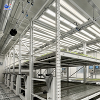 Banc roulant multi-niveaux industriel pour culture verticale intérieure, table de culture hydroponique commerciale