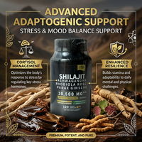 Capsules de complexe multi-adaptogène à marque privée : Mélange de Shilajit, Ashwagandha, Rhodiola, Ginseng et Cordyceps pour l'énergie et la vitalité quotidiennes