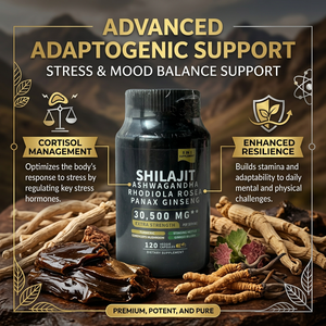 Cápsulas Vegetarianas de Complejo de Shilajit, Ashwagandha, Rhodiola Rosea y Panax Ginseng, Mezcla Herbal, Suplemento Dietético, OEM ODM - Product Image 2