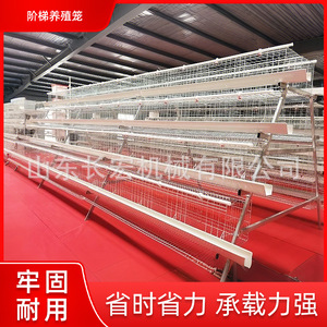 Cage à poulets de type H en acier galvanisé, équipement d'élevage automatique pour poules pondeuses - Product Image 5