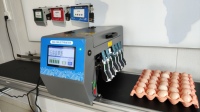 Imprimante jet d'encre automatique pour le marquage des œufs par lots Date de production, logo sur les œufs de poulet, dispositif de marquage des œufs pour les fermes avicoles