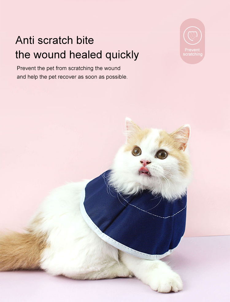 Adjustable Soft Cone Pet Recovery Elizabethan Collar pet Cone After Surgery pet recovery Collar