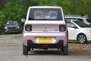 2024 sevimli Geely Panda Mini elektrikli araba 4 kişilik geometri yeni enerji araç Ev Mini arabalar
