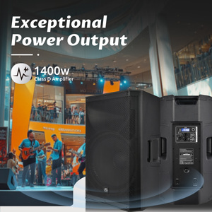 Độ Chính Xác Pro Âm Thanh Cbn15add 15 "Inch Hệ Thống Âm Thanh Chuyên Nghiệp Khuếch Đại Âm Thanh Nhựa Hoạt Động Powered Loa - Product Image 5