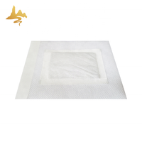 Service OEM, patchs détoxifiants pour les pieds à base d'herbes 100% naturelles, beauté, corps, toxines, avec armoise, fournitures de santé