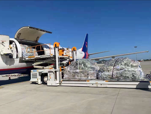 <span class=keywords><strong>Corredor</strong></span> <span class=keywords><strong>de</strong></span> Comercio China-Rusia, Ruta <span class=keywords><strong>de</strong></span> Logística Aérea Beijing-IKT con Seguro <span class=keywords><strong>de</strong></span> Tránsito <span class=keywords><strong>de</strong></span> 7-9 Días y Soporte 24/7 - Product Image 5