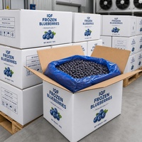 Beku IQF Blueberry Berkualitas Tinggi Grade A, Pasokan Grosir Buah Beku Segar untuk Smoothie, Kue, dan Jus