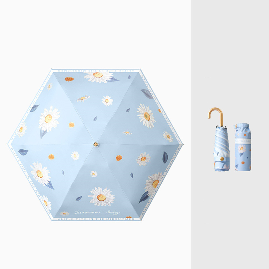 Blue Daisy