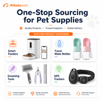 Jouet de chasse transfrontalier en plastique anti-chats avec couvercle de chasse, baguette de stimulation rotative pour animaux de compagnie, jeu d'intérieur divertissant et auto-amusant