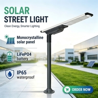 Lampadaire solaire LED FX-60W avec gradation DALI, IP65, garantie 3 ans, gestion intelligente de l'énergie, angle de faisceau 160°, en alliage d'aluminium