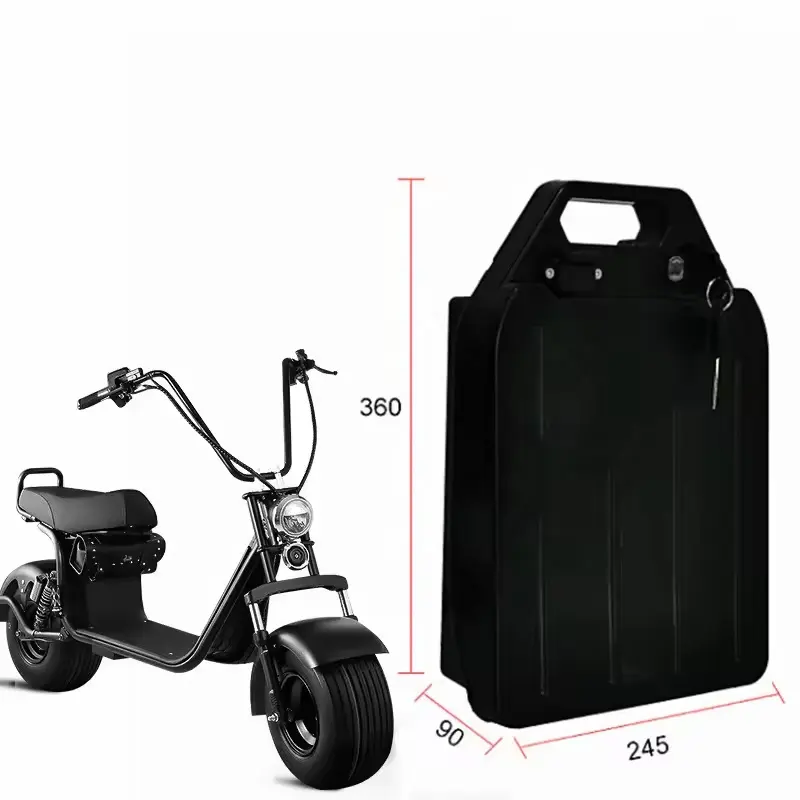 15ah 60v 20ah lithuim ebike battery Three-wheeled electric scooter 48v 12ah battery Citycoco WS-PRo TRIKE akku 1000w