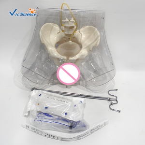Simulateur d'<span class=keywords><strong>insertion</strong></span> de cathéter urétral transparent avec affichage de gonflage du ballon pour la formation infirmière CE ISO ROHS CNAS - Product Image 3