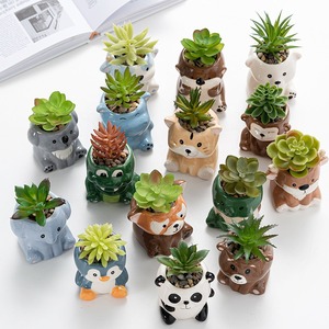 Poterie en céramique de dessin animé Animal chat hibou renard ours Cactus pots de fleurs bon marché mini céramique succulente jardinière pot de fleurs - Product Image 3