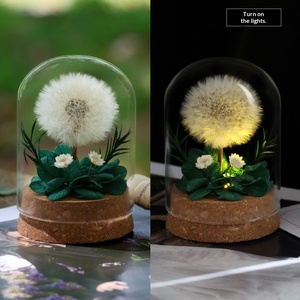 Cúpula de Cristal con Diente de León Eterno Hecho a Mano, Flores Eternas, Regalo, Luz Nocturna, Adorno Decorativo para Mesa y Hogar, Flores y Plantas Preservadas - Product Image 4
