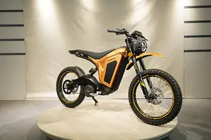 2023スーパーエンデュランス新製品売れ筋高速パワフル電動バイク大人用75V45AH