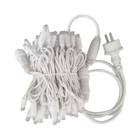 Guirlande Lumineuse LED Professionnelle pour Noël 2025 – Dernières Tendances pour Fêtes en Extérieur et Mariages – Indice de Protection IP65
