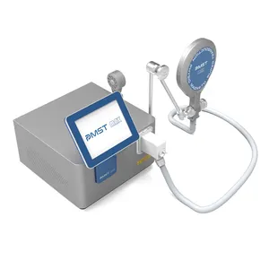 물리 자기 치료 장치 통증 완화 Pemf 물리 기계 Pmst Max 교체 가능한 핸들 물리 치료 기계