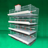Cage d'élevage pour poussins d'un jour, conçue pour les fermes avicoles