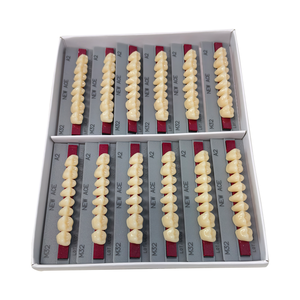 96 unités de prothèses dentaires synthétiques Yamahachi, forme anatomique agréable pour laboratoire dentaire, prothèse dentaire <span class=keywords><strong>amovible</strong></span> en résine - Product Image 2