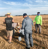 Capteur d'humidité du sol PG5H-50B(3-6-9-12-15) RS485