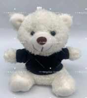 Songshan jouets personnalisé pas cher Mini LOGO ours en peluche peluches 11cm Kwaii peluche sac décor ours en peluche t-shirt jouet porte-clés