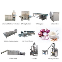 Prix d'usine, vente directe : Machine à poudre d'oignon, ligne de production de poudre d'oignon 100-1500 kg/h, prix de la machine à poudre d'oignon