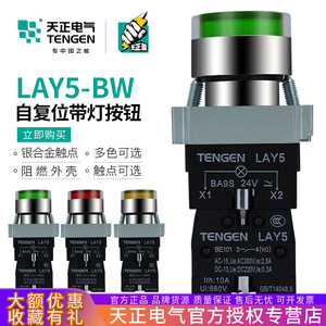 Tengen LAY5 Led <b>Button</b> Switch 24V Red Indicator Start Stop Push <b>Button</b> IP40 - Product Image 5