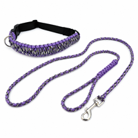 Ensemble de colliers et de laisses pour chiens en paracorde tressé robuste, corde de promenade réglable pour chiens de petite, moyenne et grande taille, OEM