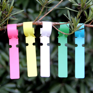 Étiquettes d'identification décoratives en plastique pour semis de pépinière, étiquettes suspendues pour semis et arbres fruitiers - Product Image 5