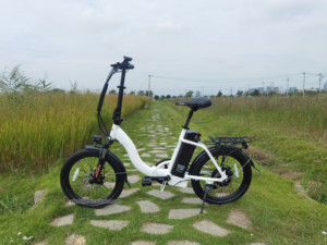 Vélo <span class=keywords><strong>électrique</strong></span> <span class=keywords><strong>pliant</strong></span> de 20 pouces pour <span class=keywords><strong>femme</strong></span>, moteur de 36V, 10,4ah, 350W - Product Image 5